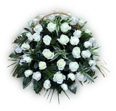 Корзина из живых цветов № 2 (высота 50 см, диаметр 70 см) 80 роз